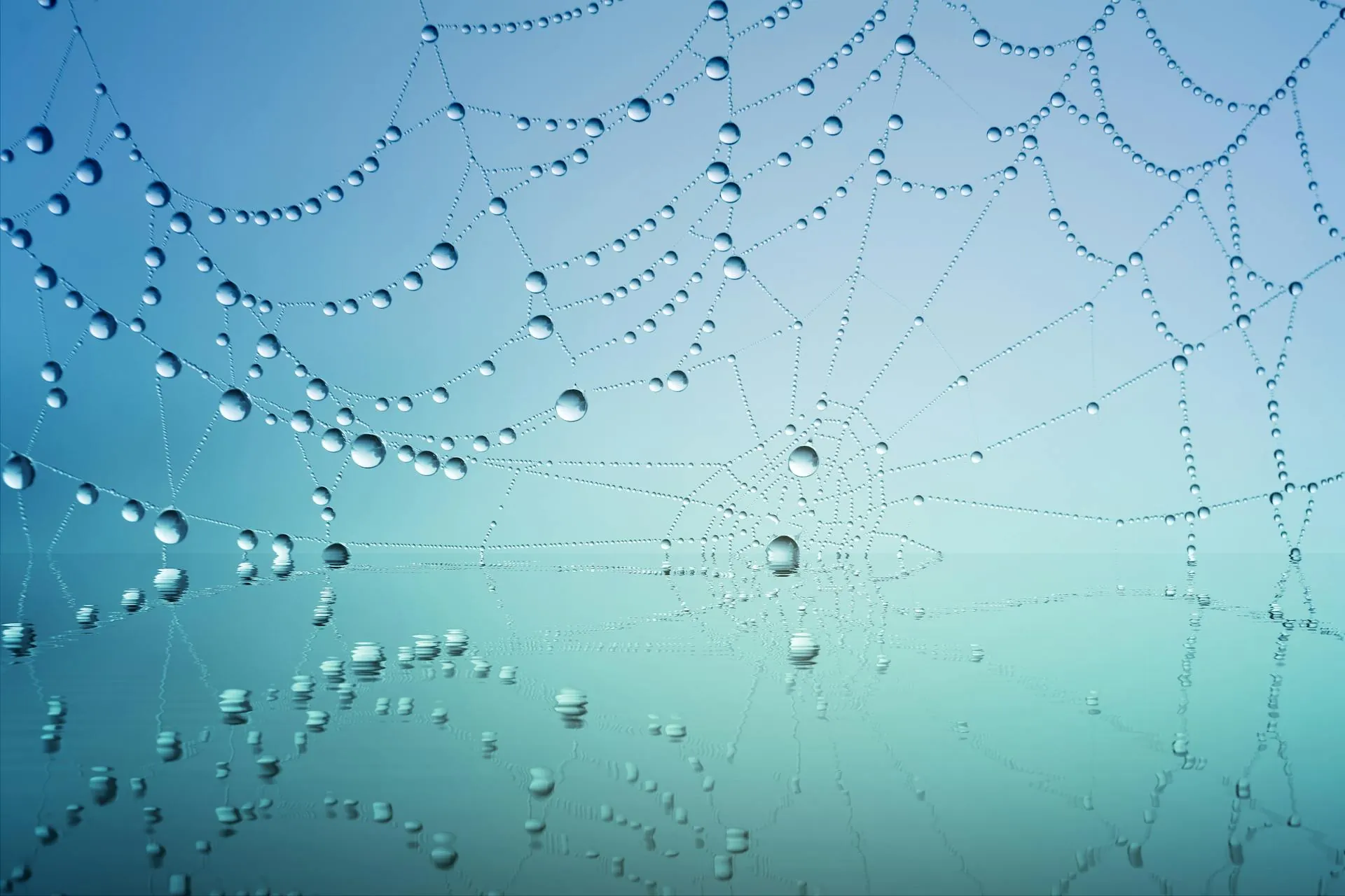 Orbio's $21M raise and what AI hiring agents could mean for Morocco
